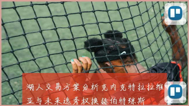 湖人交易方案分析克内克特拉拉维亚与未来选秀权换赫伯特琼斯